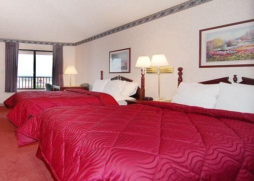 Motel 6-White House, Tn Room photo